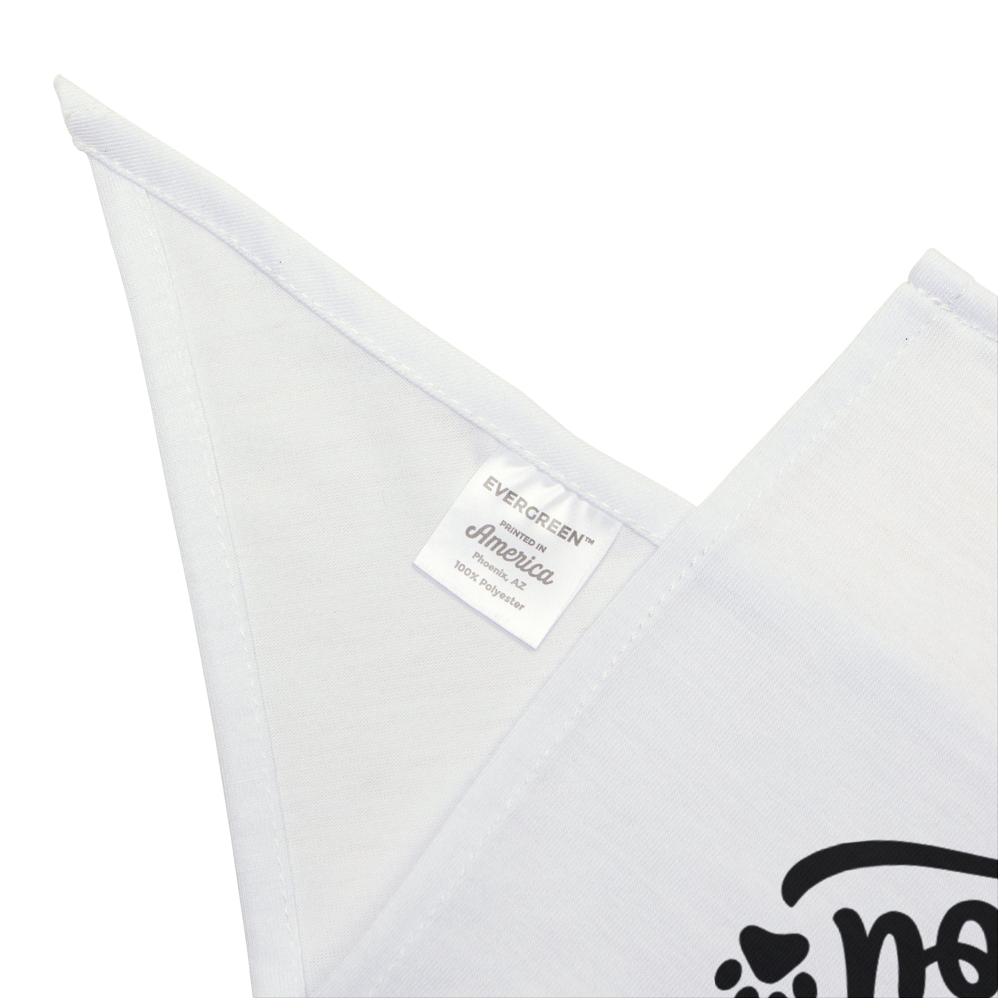 🐾 Pet Bandana God Sent Me to You Dog Bandana, Matching Pet Bandana, Christian Dog Accessory, Faith Based Dog Gift, Cute Puppy Bandana