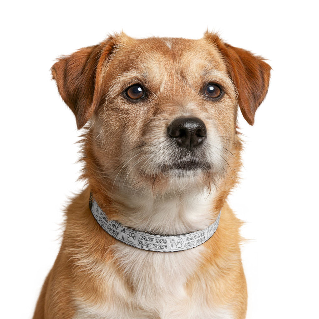 Dog wearing a collar with a white background
