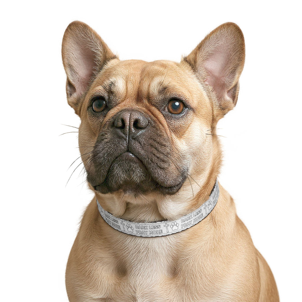 Dog wearing a 'Animal Spirit' collar on a white background